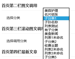 zblog指定獲取某分類的最新文章后臺設置2.png