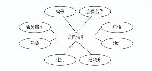 超市管理系統 java,高中生畢業后學什么技術好