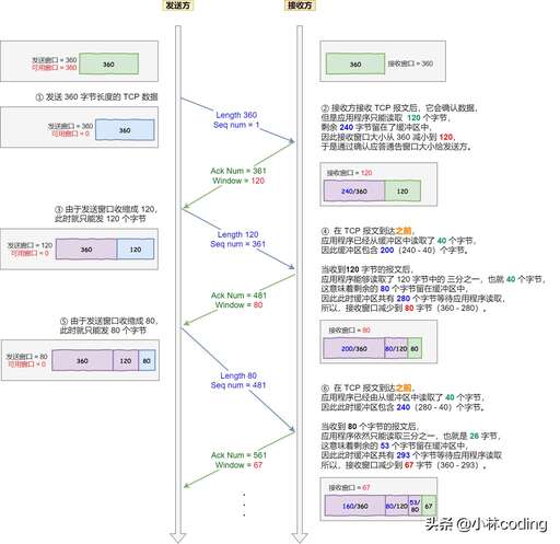 java tcp 字節,tcp協議報頭中包含