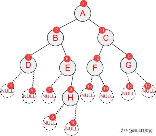 java 遍歷 tree,支付寶螞蟻森林小樹(shù)怎么長(zhǎng)大