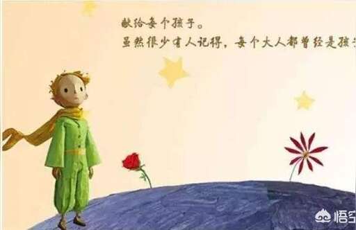 小王子css,小王子的書名為什么是Le